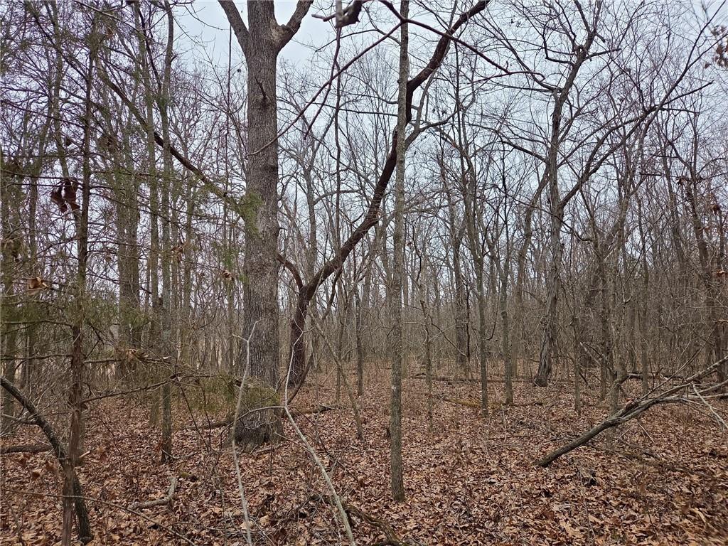 67 North Dade 237 Walnut Grove, MO 65770 - Photo 16 of 24