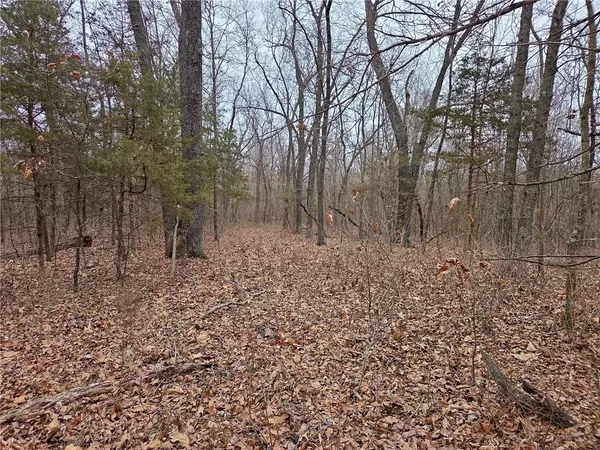 $114,900 | 67 North Dade 237, Walnut Grove, MO 65770