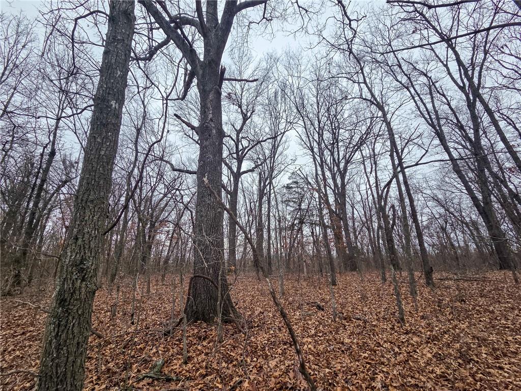 67 North Dade 237 Walnut Grove, MO 65770 - Photo 2 of 24