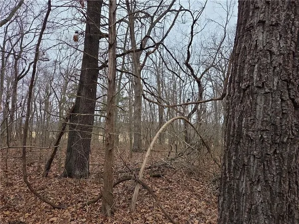 $114,900 | 67 North Dade 237, Walnut Grove, MO 65770