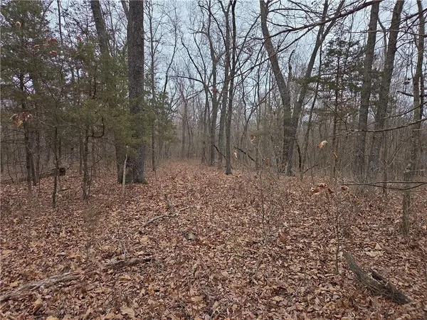 $114,900 | 67 North Dade 237, Walnut Grove, MO 65770