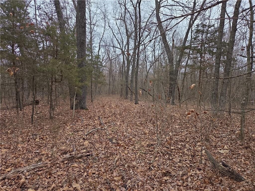 67 North Dade 237 Walnut Grove, MO 65770 - Photo 23 of 24