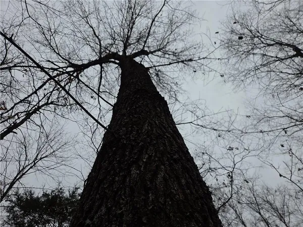 $114,900 | 67 North Dade 237, Walnut Grove, MO 65770