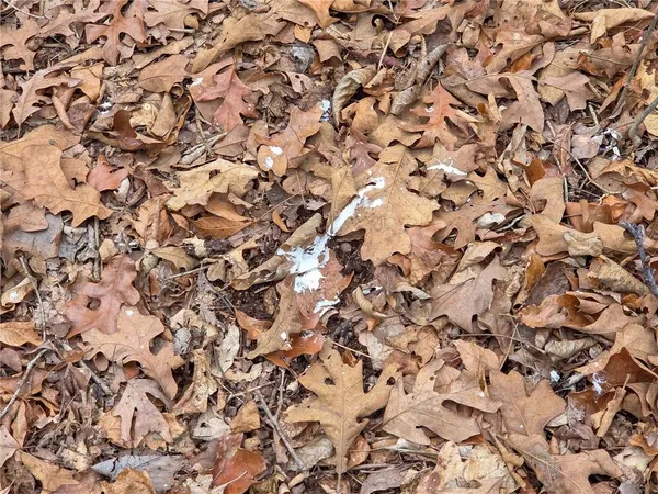 $114,900 | 67 North Dade 237, Walnut Grove, MO 65770