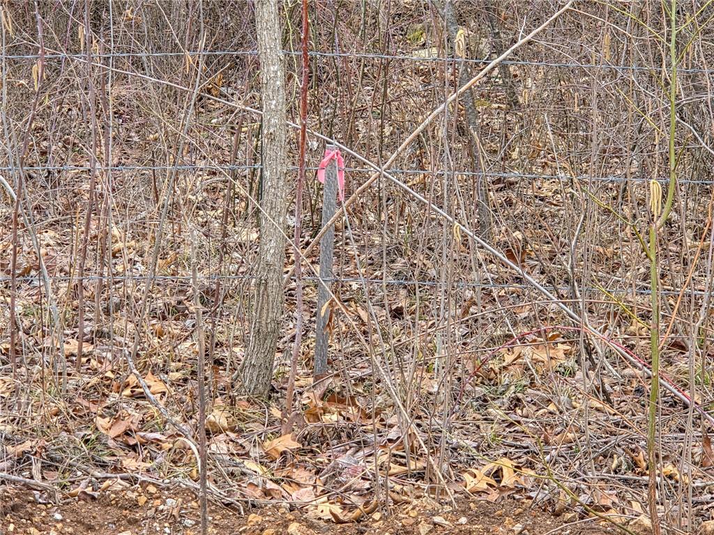 67 North Dade 237 Walnut Grove, MO 65770 - Photo 7 of 24