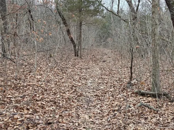 $114,900 | 67 North Dade 237, Walnut Grove, MO 65770