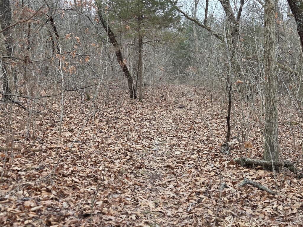 67 North Dade 237 Walnut Grove, MO 65770 - Photo 8 of 24