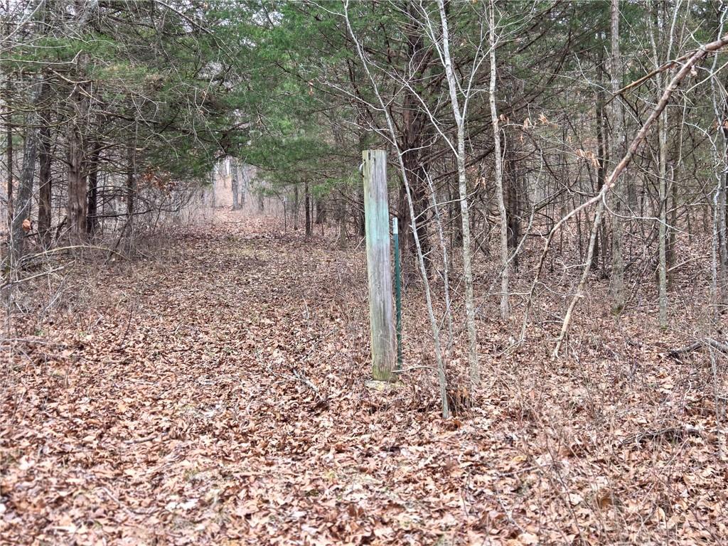 67 North Dade 237 Walnut Grove, MO 65770 - Photo 10 of 24