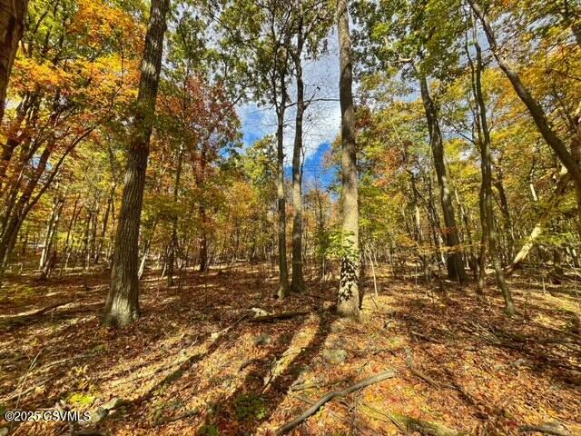 40 Wood Ridge Lane Klingerstown, PA 17941 - Photo 1 of 12
