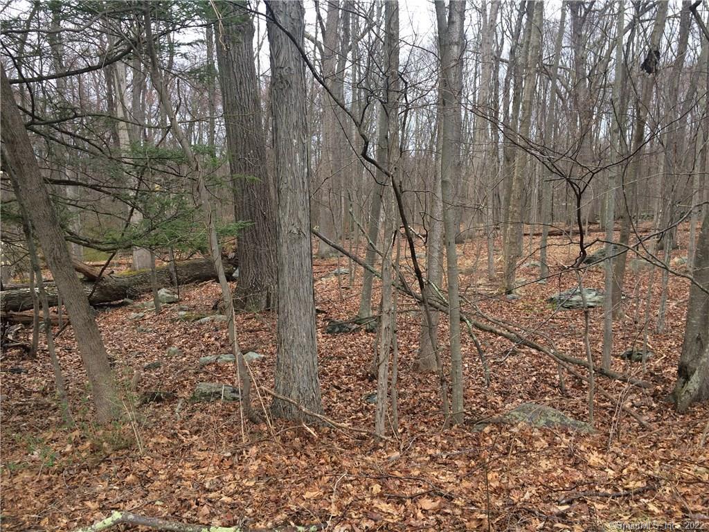 0 Fresh Meadow Road, Unit LOT 7 Weston, CT 06883 - Photo 1 of 1