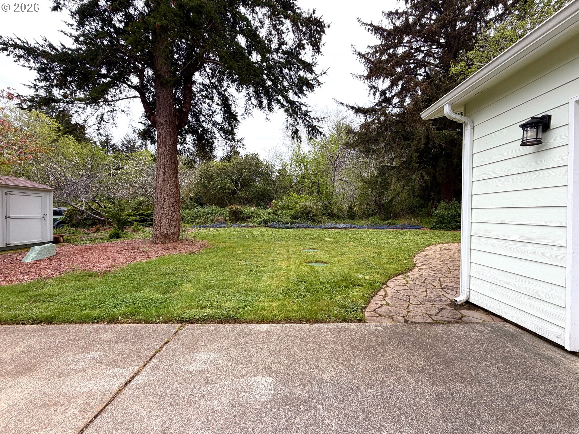 1157 8th Street Bandon, OR 97411 - Photo 35 of 46 a view of a backyard with large trees