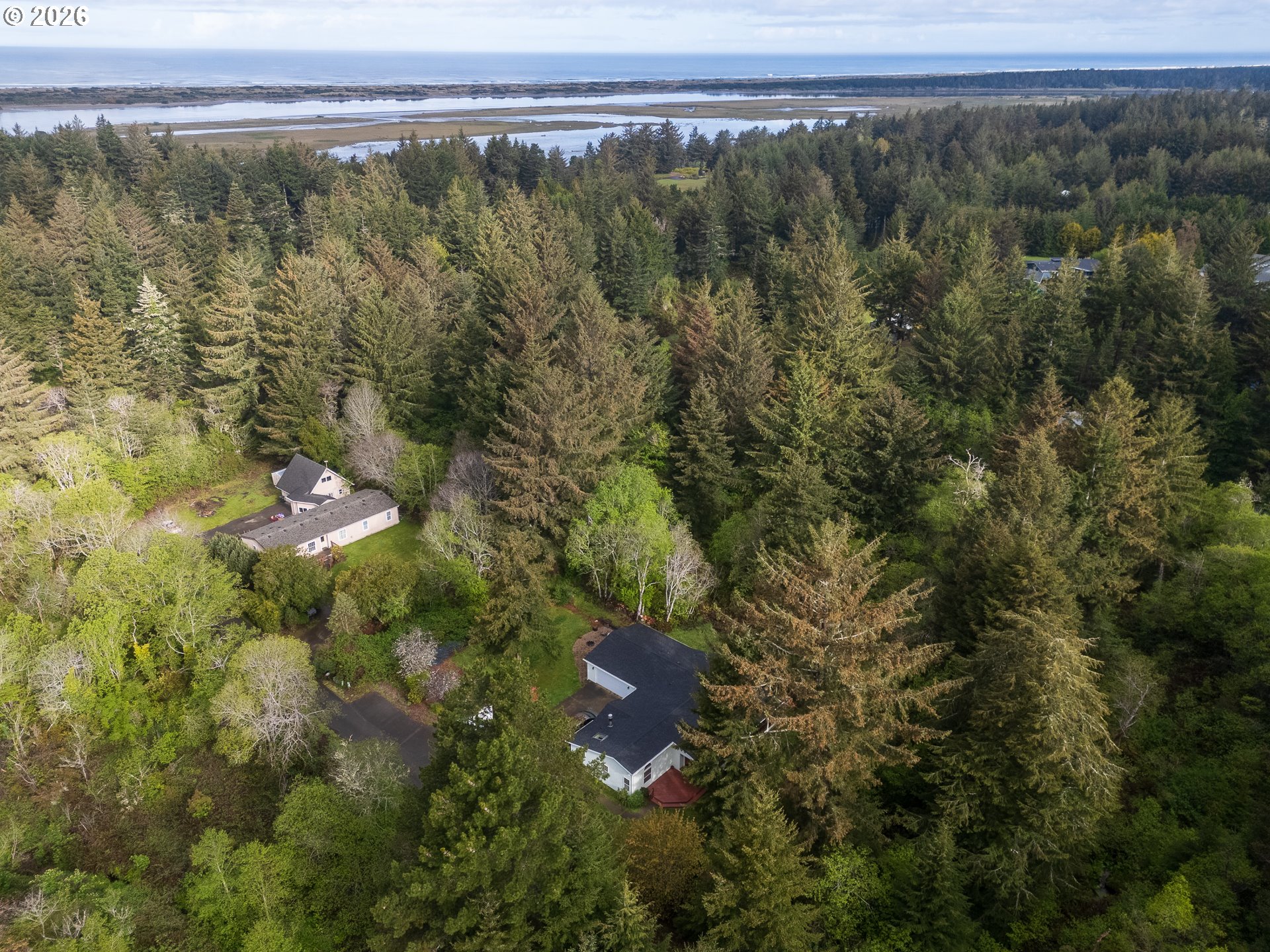 1157 8th Street Bandon, OR 97411 - Photo 42 of 46 a view of a forest with a mountain view