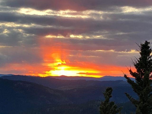 565 Kratochvil Road Colville, WA 99114 - Photo 50 of 50
