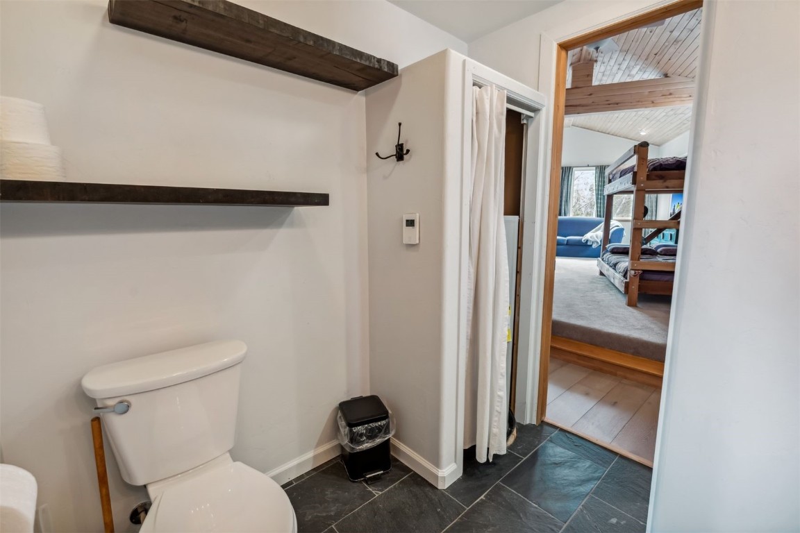 209 Miners Creek Road Frisco, CO 80443 - Photo 22 of 32 a bathroom with a toilet and a shower