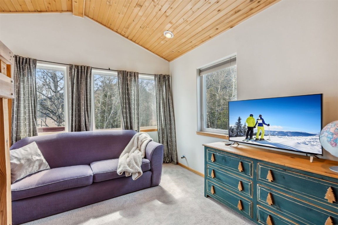 209 Miners Creek Road Frisco, CO 80443 - Photo 25 of 32 a living room with furniture and a window
