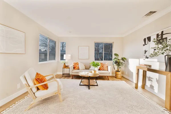 a living room with furniture and a rug