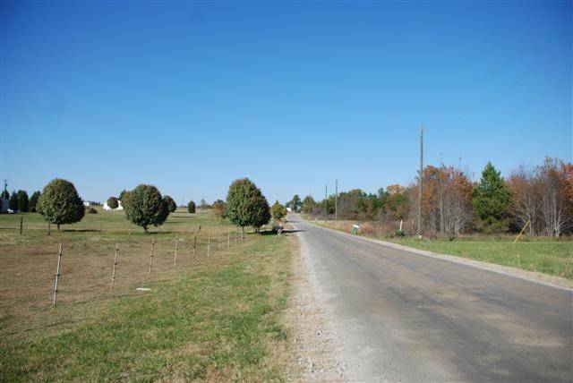 583 State Rd S-42-1256 Enoree, SC 29335 - Photo 3 of 3 Gallery Image 3