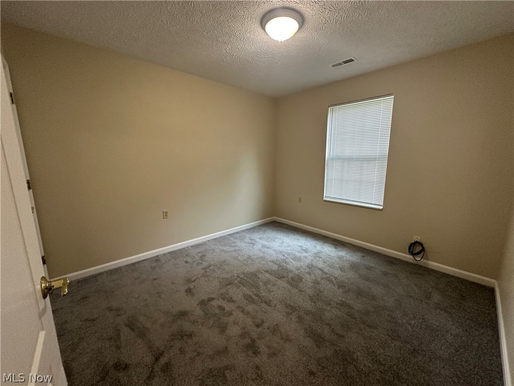 9060 Maple Grove Road Windham, OH 44288 - Photo 15 of 18 Carpeted empty room with a textured ceiling