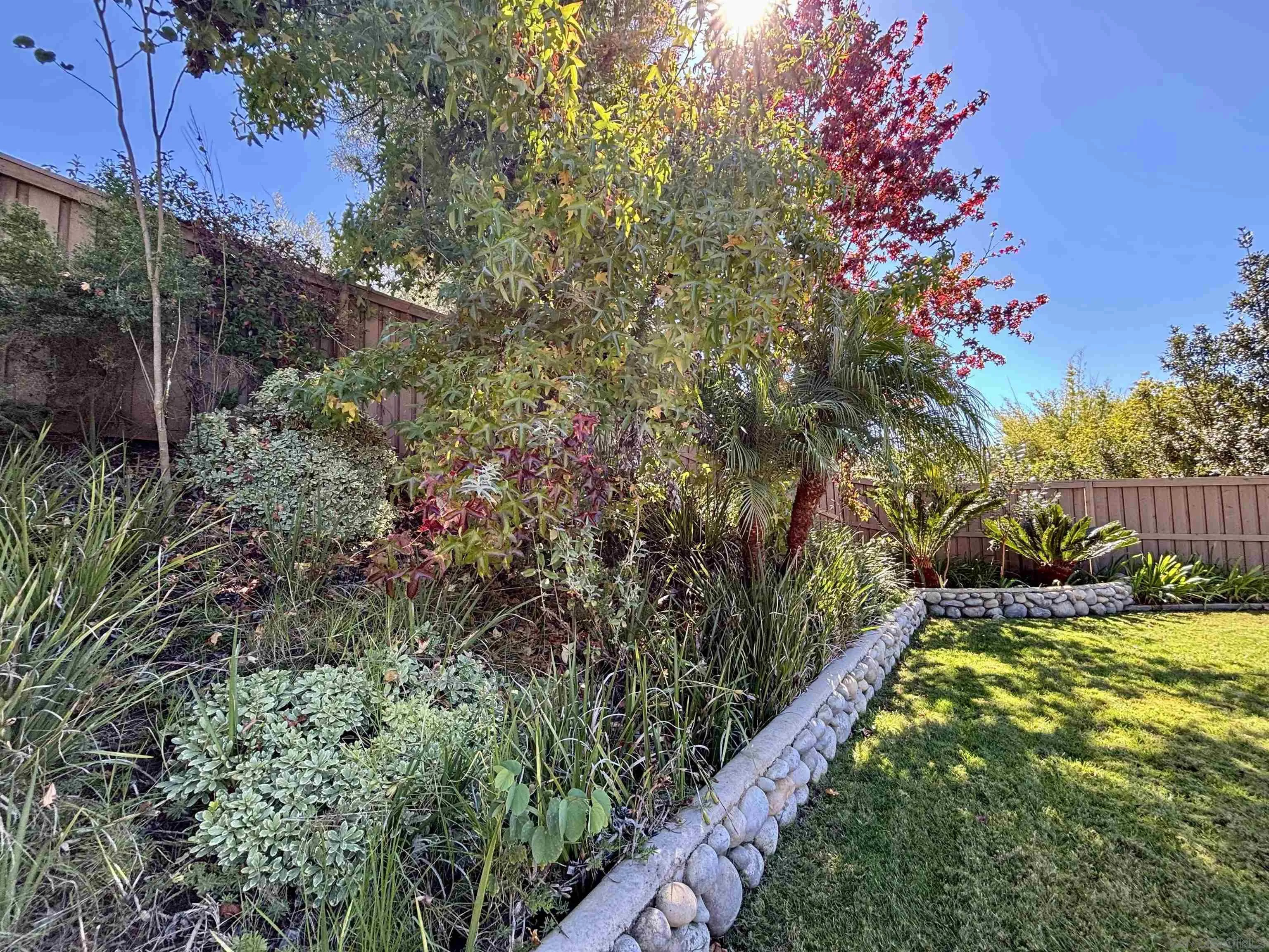 5545 Nanday Court Oceanside, CA 92057 - Photo 7 of 38 a view of a yard with an tree