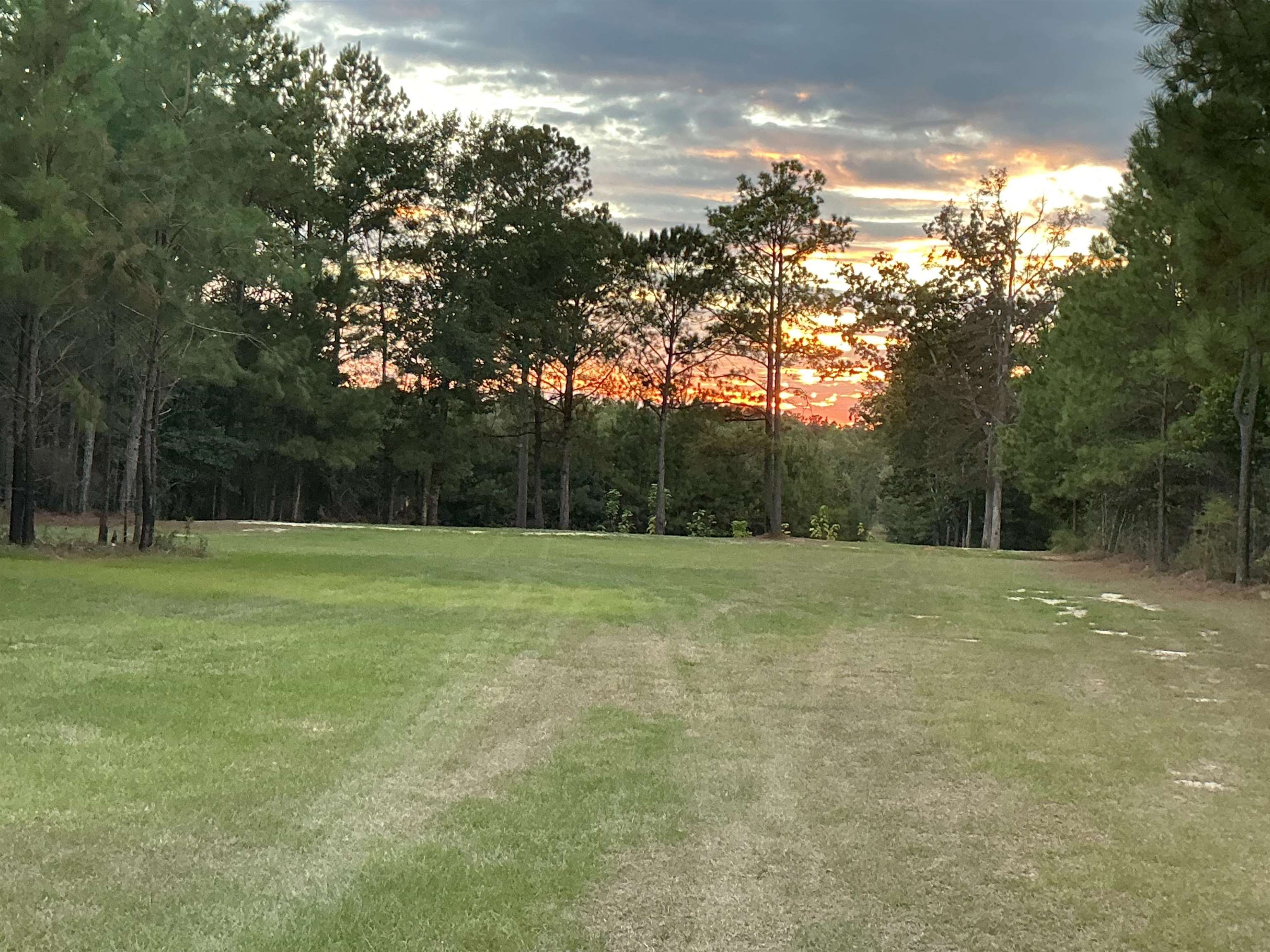 31769 Boston Road Dozier, AL 36028 - Photo 26 of 48 Gallery Image 26