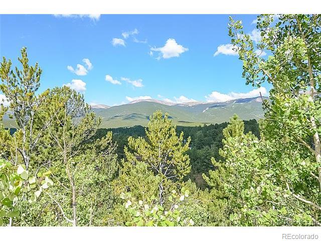 110 Jones Road Bailey, CO 80421 - Photo 25 of 28 a view of a bunch of flowers