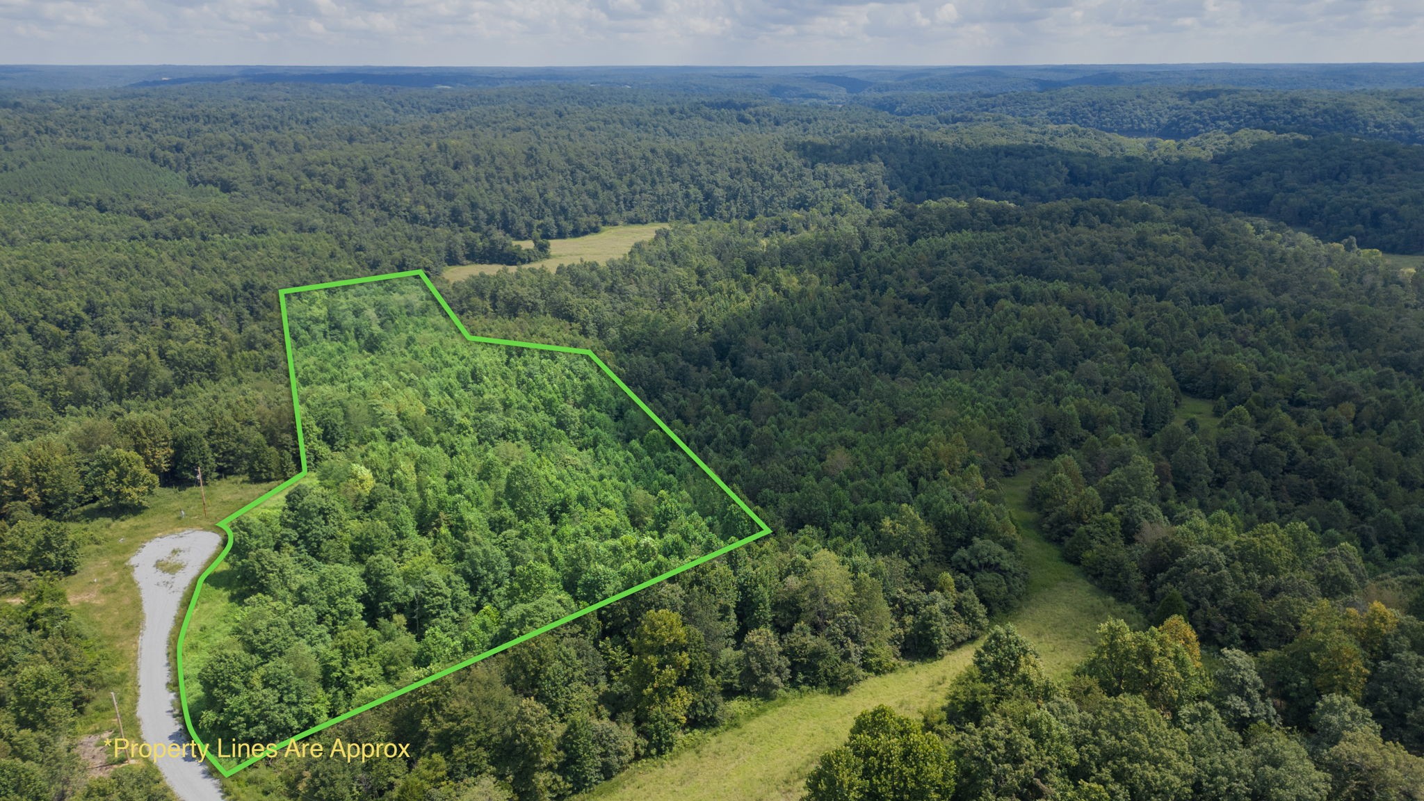 0 Topside Drive Dover, TN 37058 - Photo 1 of 38 an aerial view of green landscape with trees