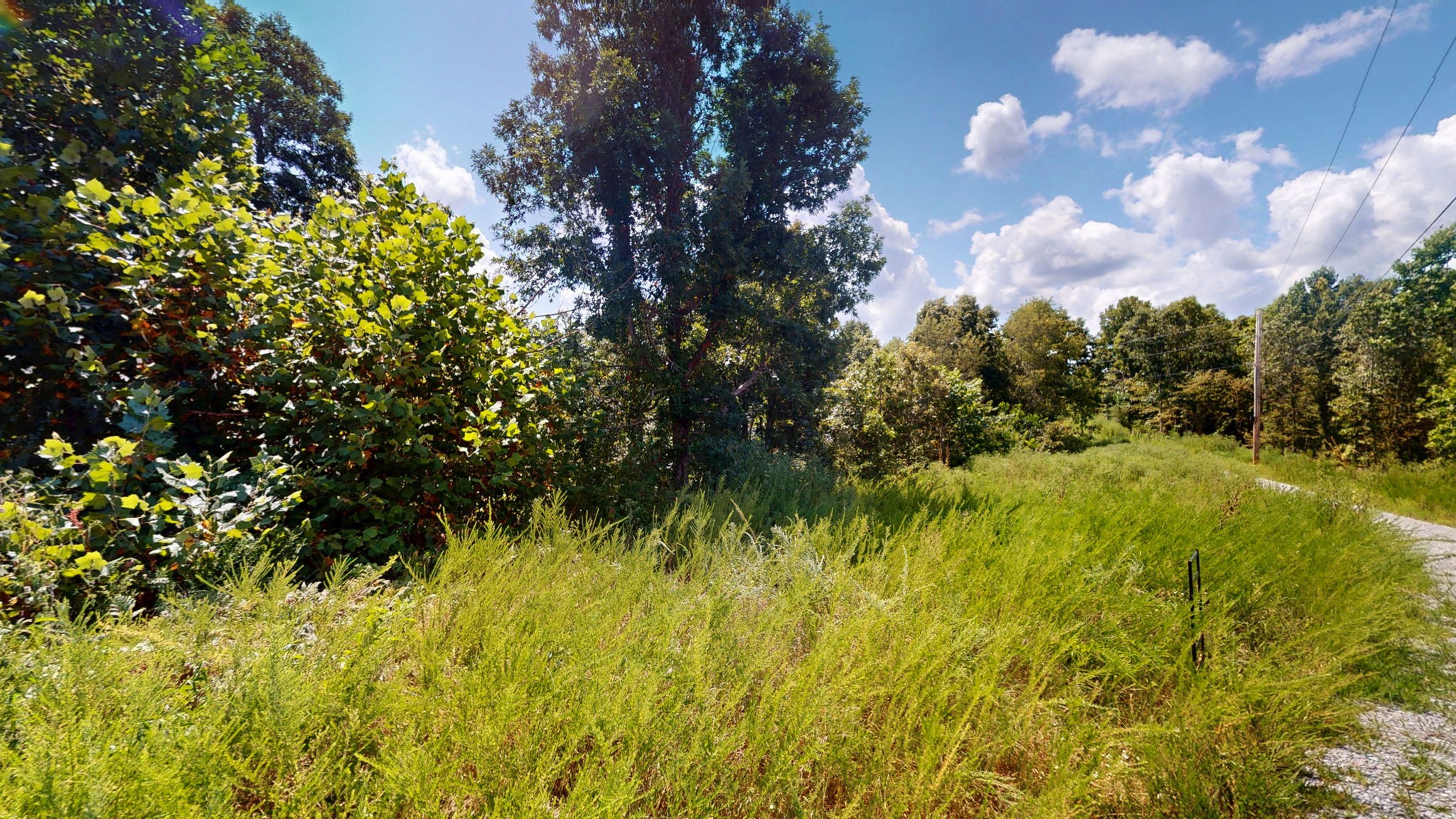 0 Topside Drive Dover, TN 37058 - Photo 12 of 38 a view of a bunch of trees and bushes