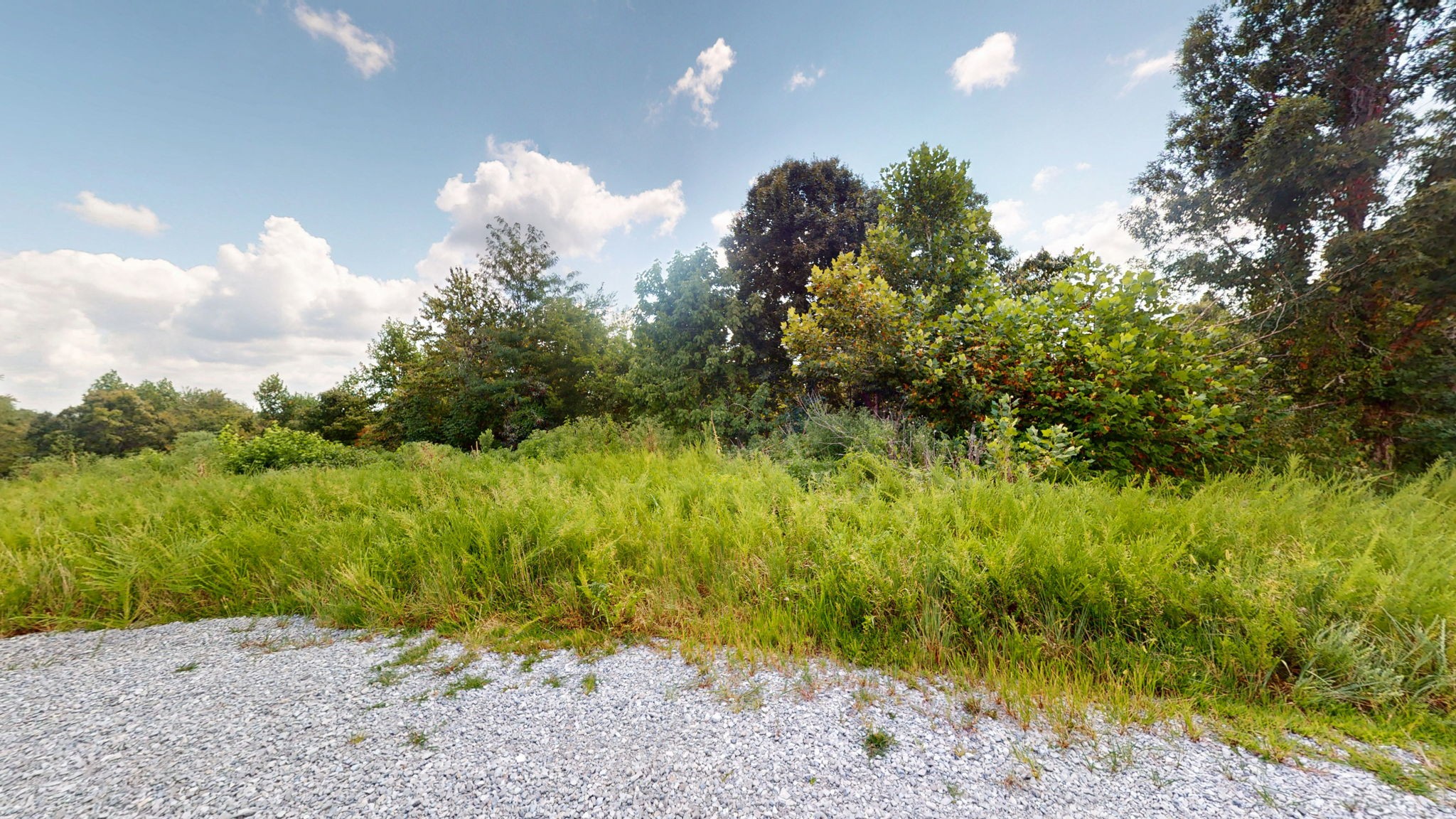 0 Topside Drive Dover, TN 37058 - Photo 13 of 38 a view of a yard with plants and large trees
