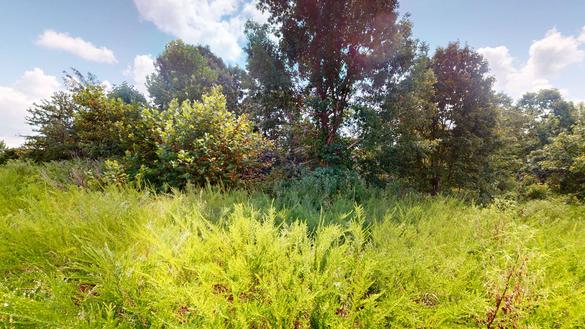 0 Topside Drive Dover, TN 37058 - Photo 18 of 38 a view of a garden