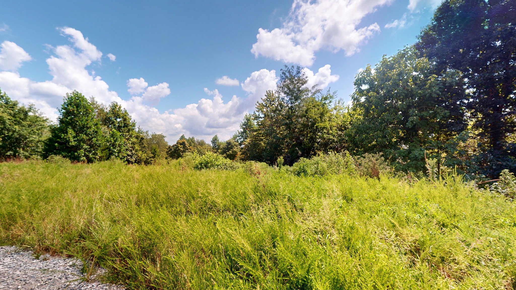 0 Topside Drive Dover, TN 37058 - Photo 20 of 38 a view of a bunch of trees and bushes