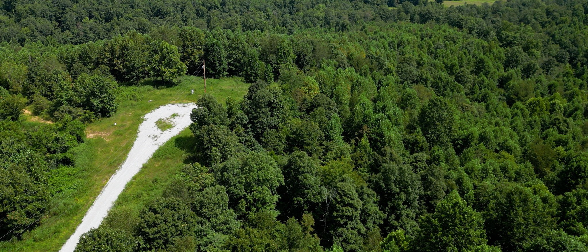 0 Topside Drive Dover, TN 37058 - Photo 2 of 38 a view of a yard with plants