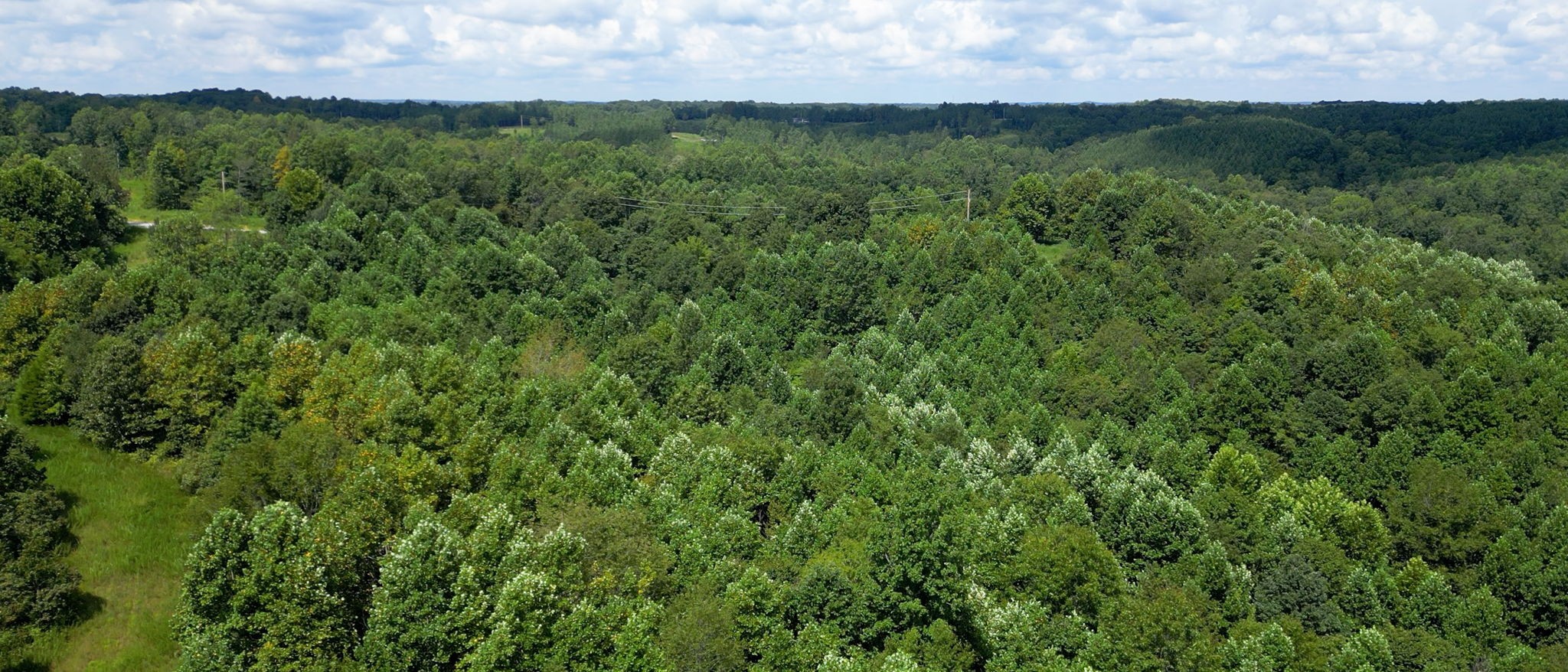 0 Topside Drive Dover, TN 37058 - Photo 23 of 38 a view of a lush green forest with trees and mountains