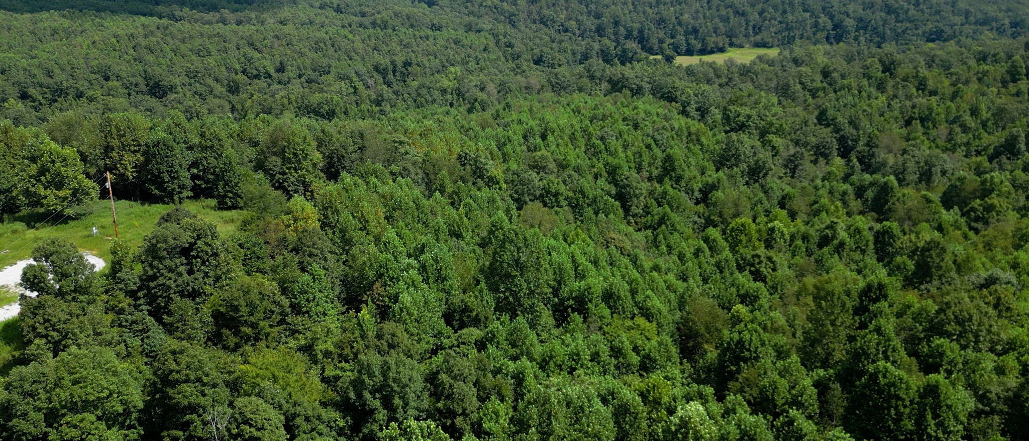 0 Topside Drive Dover, TN 37058 - Photo 26 of 38 a view of a lush green forest