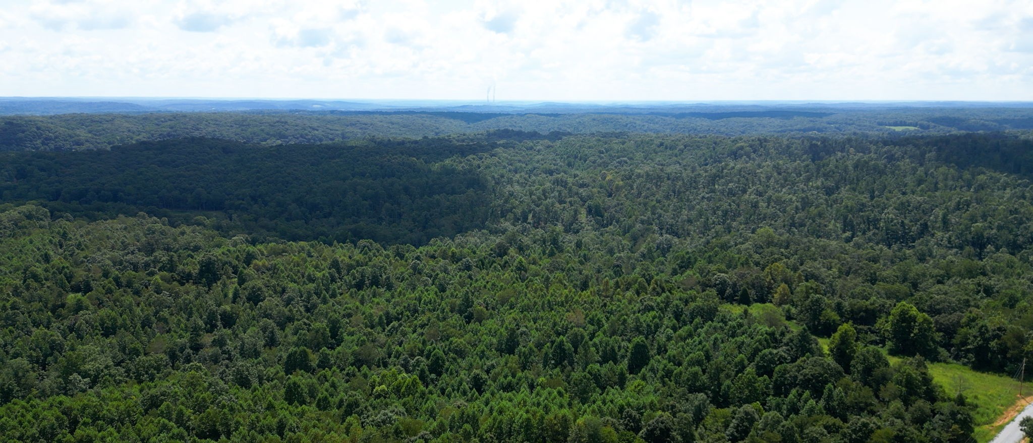 0 Topside Drive Dover, TN 37058 - Photo 27 of 38 a view of a green field with lots of bushes