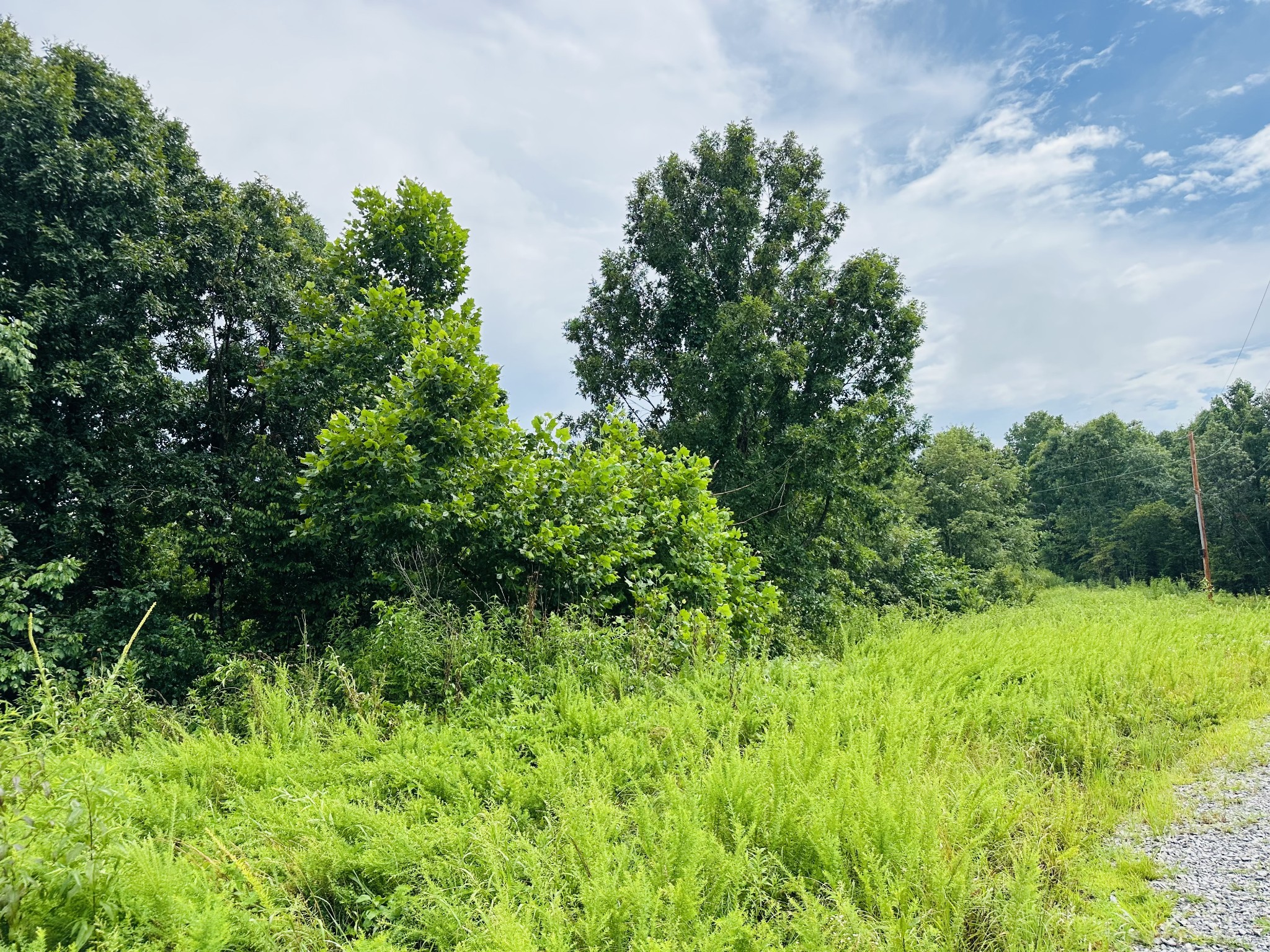 0 Topside Drive Dover, TN 37058 - Photo 29 of 38 a view of a lush green space