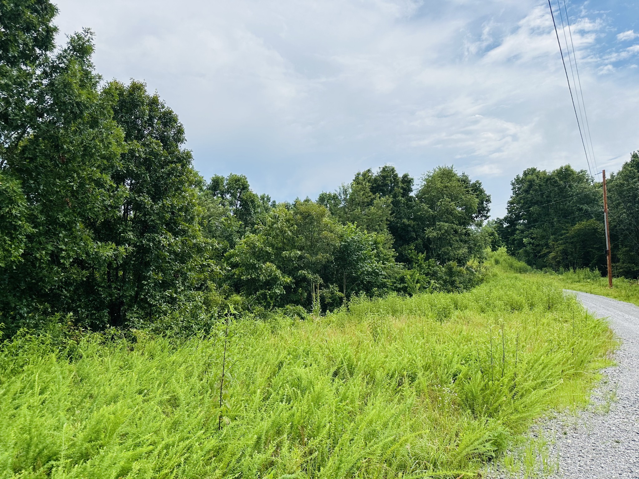 0 Topside Drive Dover, TN 37058 - Photo 31 of 38 a view of a garden
