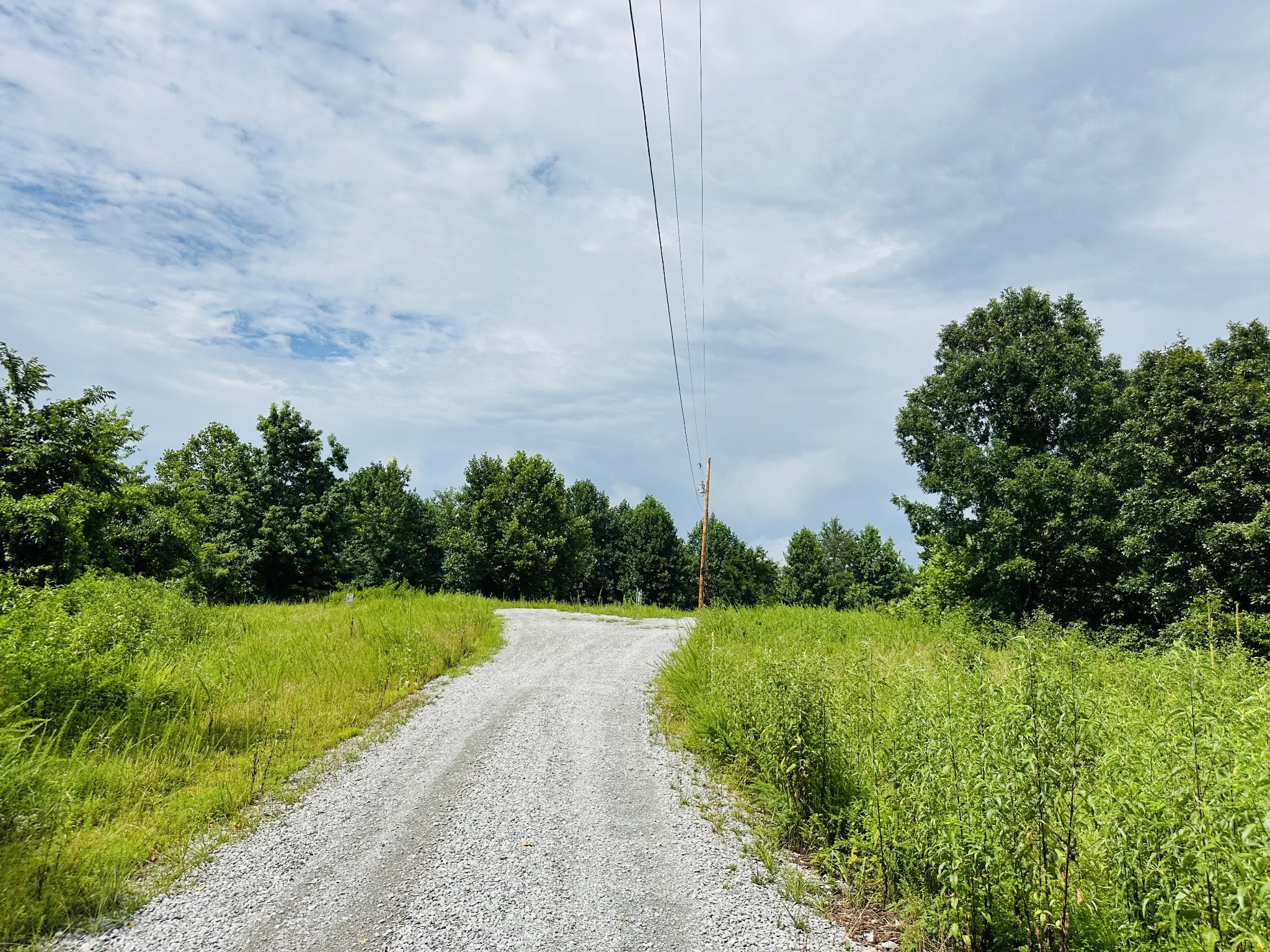 0 Topside Drive Dover, TN 37058 - Photo 32 of 38 a view of a garden with a building in the background