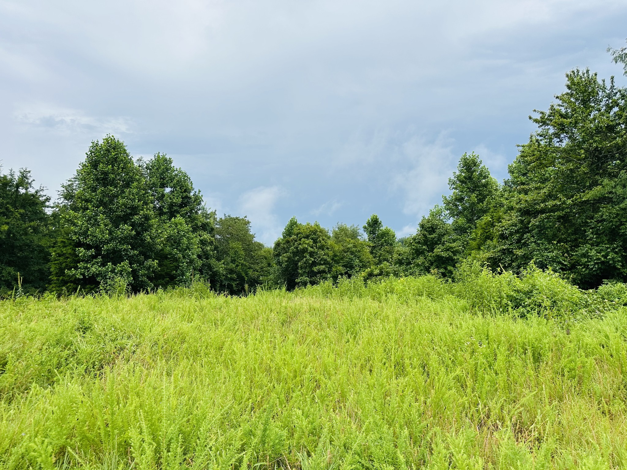 0 Topside Drive Dover, TN 37058 - Photo 36 of 38 a backyard of a house with lots of green space and trees all around