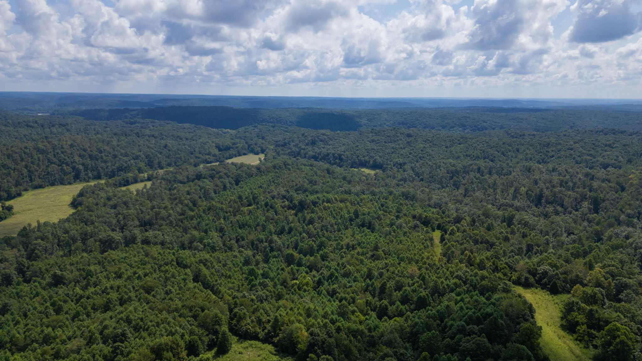 0 Topside Drive Dover, TN 37058 - Photo 4 of 38 a view of a field of grass and trees
