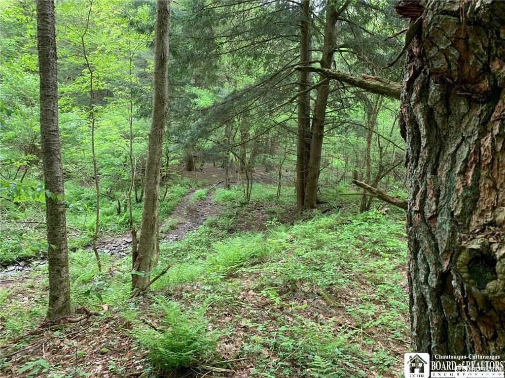 905 Waterman Road Kennedy, NY 14747 - Photo 17 of 35