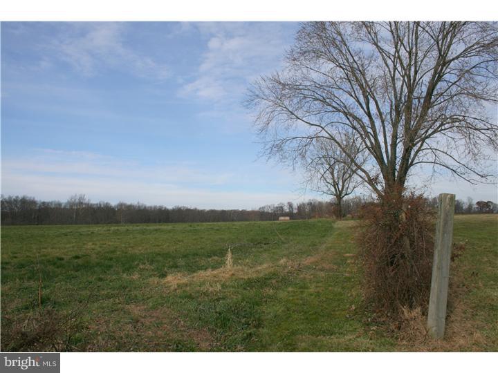 4280-2 Township Line Road Buckingham, PA 18940 - Photo 4 of 13 Gallery Image 4