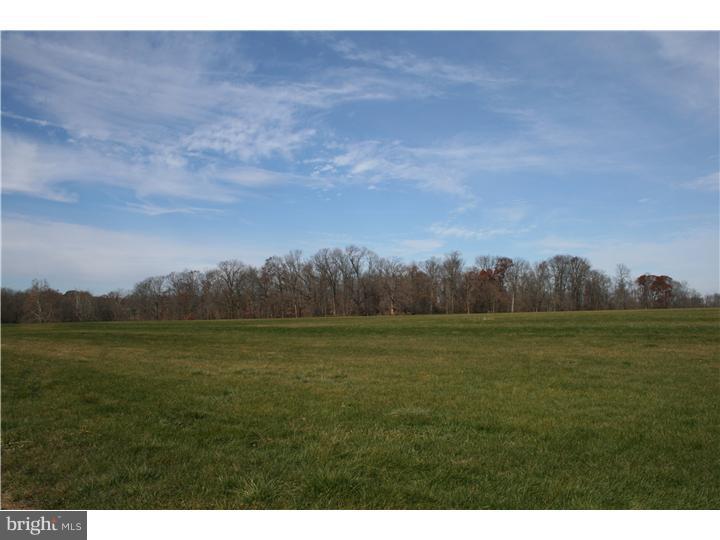 4280-2 Township Line Road Buckingham, PA 18940 - Photo 8 of 13 Gallery Image 8