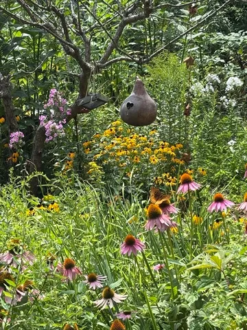 a backyard of a house with lots of green space and a fountain