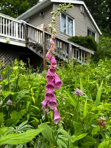 $299,000 | 34 Whispering Pine Drive, West Brookfield, MA 01585