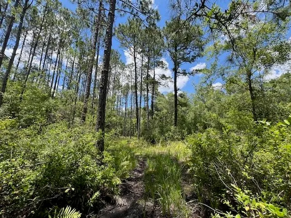 $25,000 | Tbd Southwest Open Sands Loop, Greenville, FL 32331