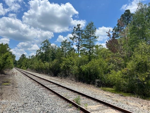 Tbd Southwest Open Sands Loop Greenville, FL 32331 - Photo 2 of 10