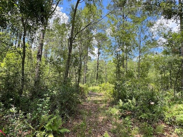 Tbd Southwest Open Sands Loop Greenville, FL 32331 - Photo 4 of 10