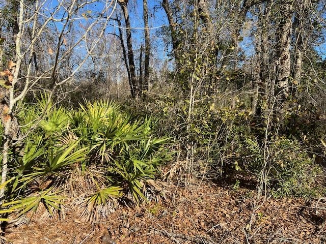 Tbd Southwest Open Sands Loop Greenville, FL 32331 - Photo 5 of 10
