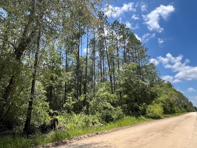Tbd Southwest Open Sands Loop Greenville, FL 32331 - Photo 7 of 10