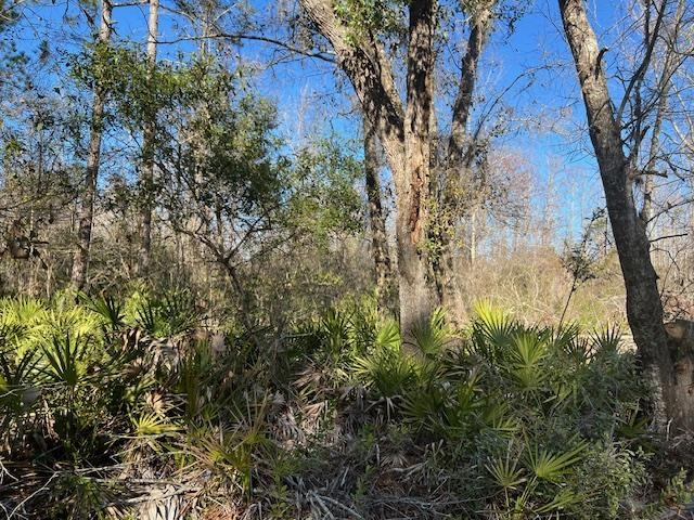 Tbd Southwest Open Sands Loop Greenville, FL 32331 - Photo 8 of 10